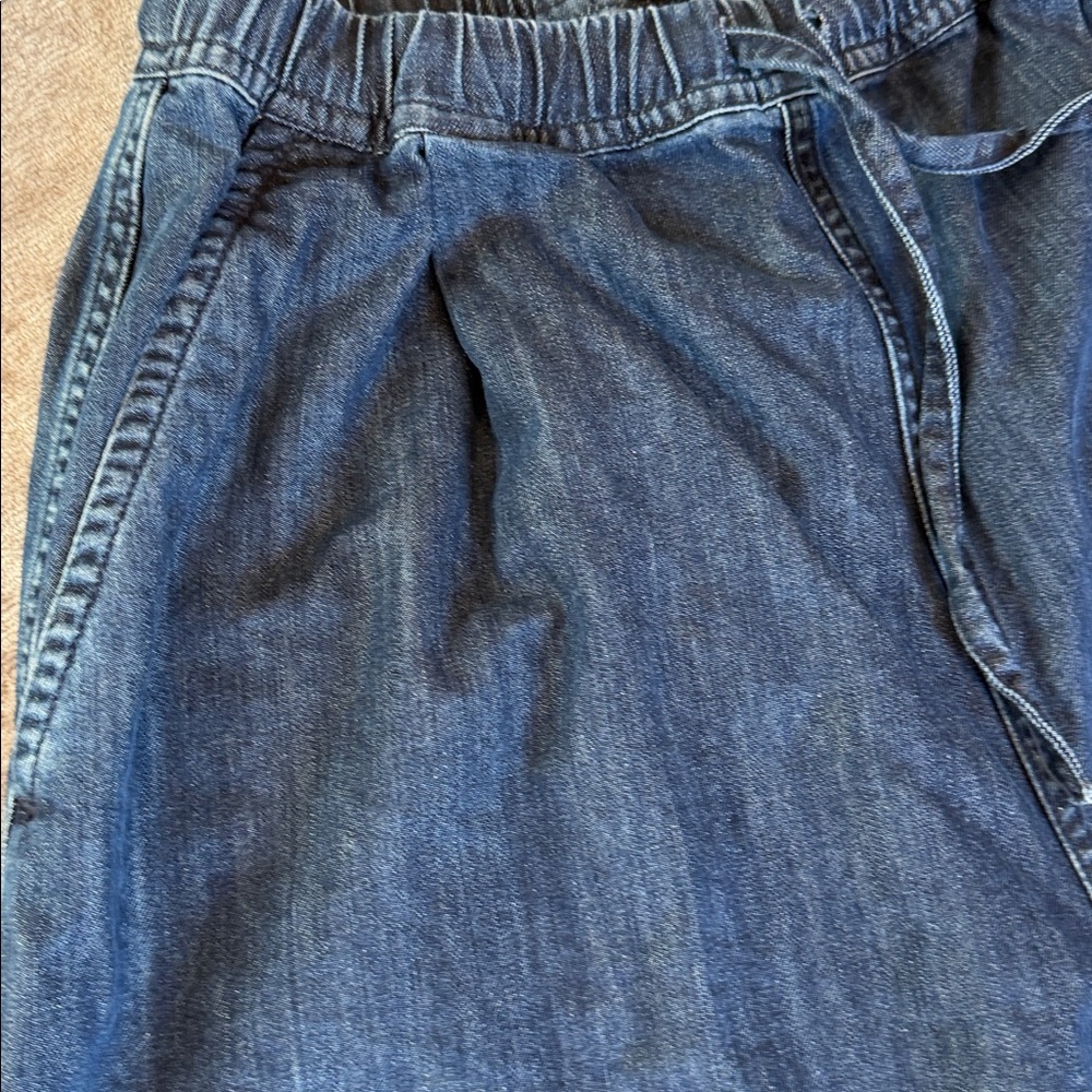 Sofie D'Hoore Indigo Wide-Leg Denim pants - Picture 6 of 14